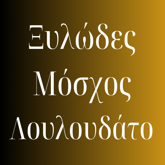 MOLEC 01 H125 