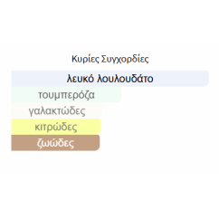SO CANDID MAISON ALHAMBRA 100ML γυναικείο