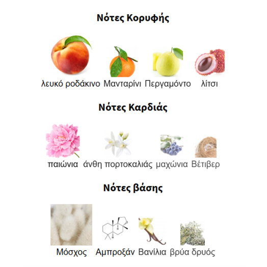 MYSTIQUE BOUQUET BY AFNAN 100ML
