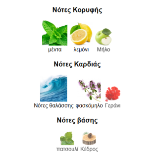 BLUE SAPPFIRE LATAFFA PERFUMES 100ML unisex ανδρικό 