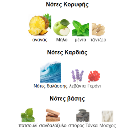NAJDIA TRIBUTE LATTAFA PERFUMES 100ML για άνδρες
