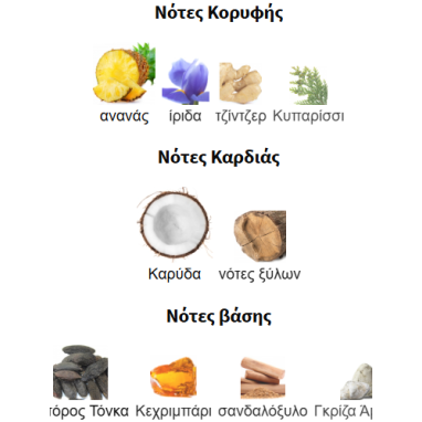 NARISSA AMBRE MAISON ALHAMBRA 100ML γυναικείο