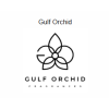 GULF ORCHID