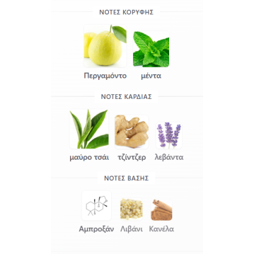 ART OF ARABIA I LATTAFA PERFUMES 100ML για άνδρες