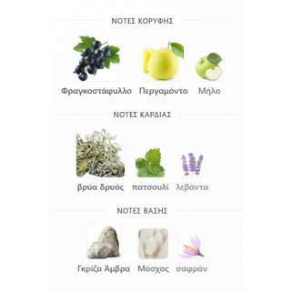 SUPERMACY NOT ONLY INTENSE BY AFNAN 100ML για άνδρες