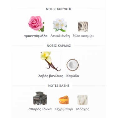 FLEURIE VIOLETTE RIFFS PERFUMES 100ML για γυναίκες