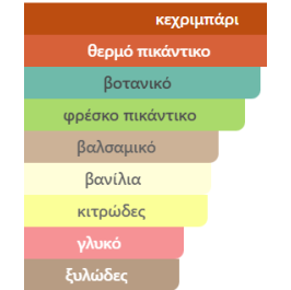 TERRA RAYHAAN 100ML ανδρικό