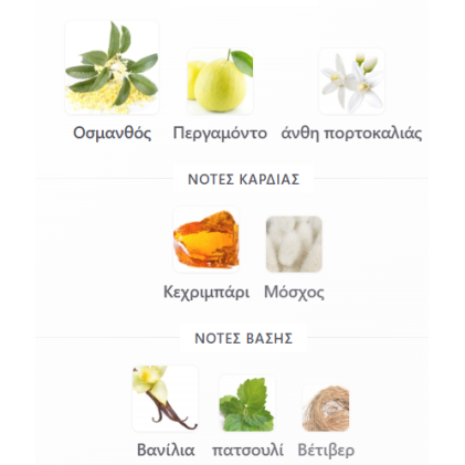 MELISSA POUDRE RIIFFS PERFUMES 100ML γυναικείο