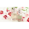 BODY MIST