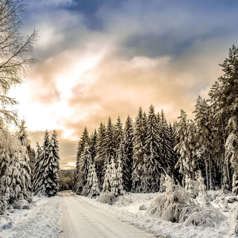 WINTER