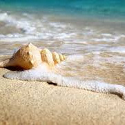 SUMMER